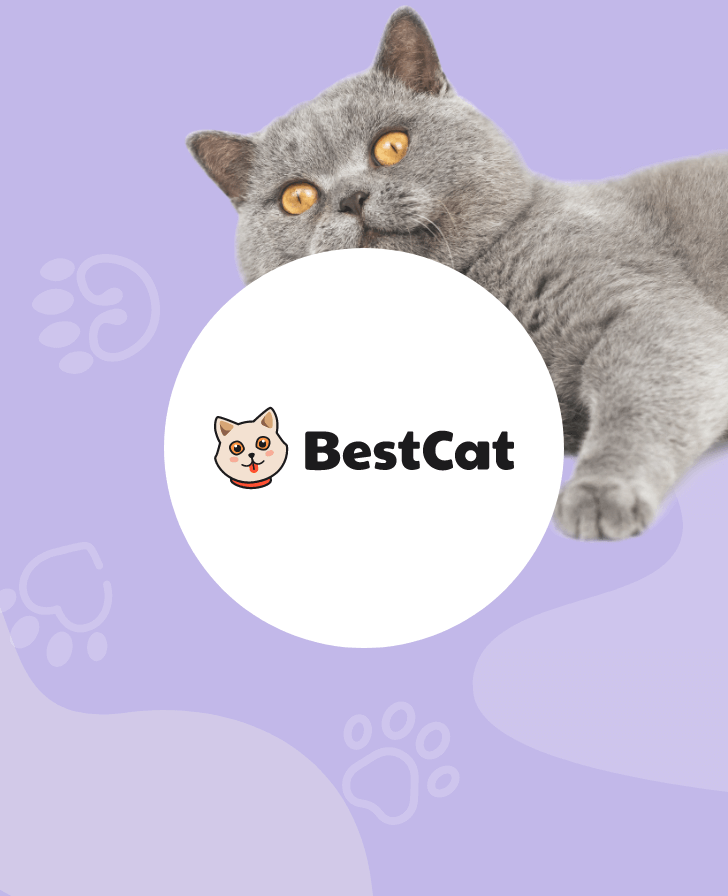 BestCat.com