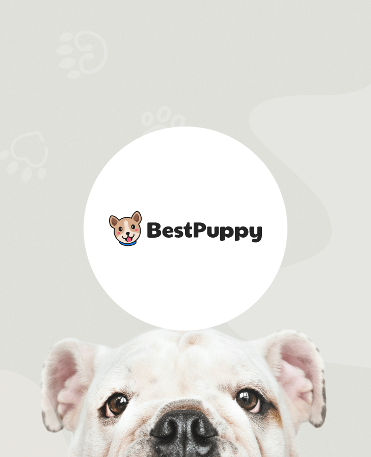 BestPuppy.com